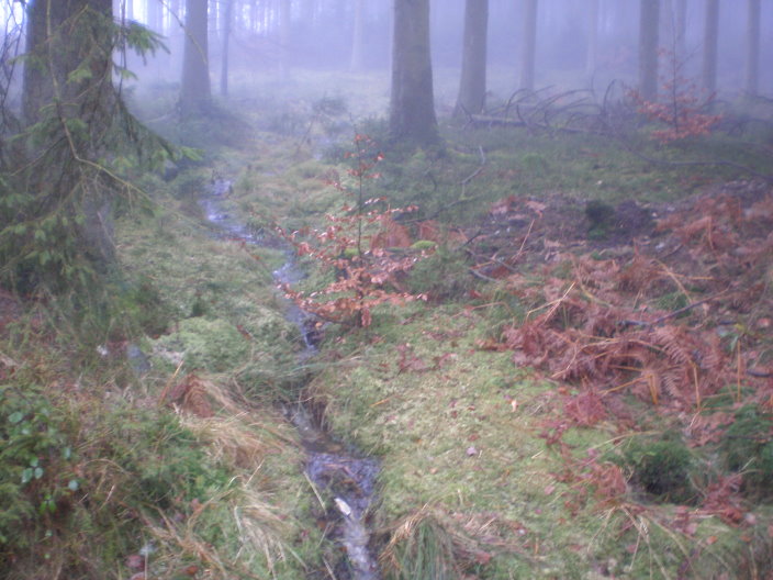 bouillon 103.jpg